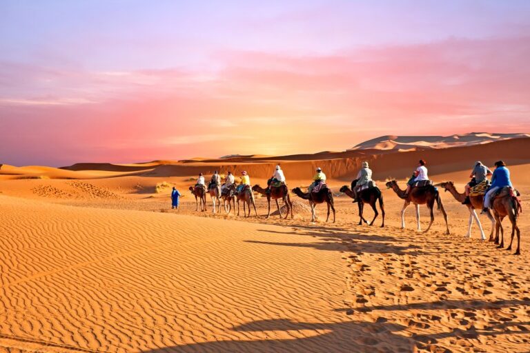 camel caravan going through the sand dunes in the sahara desert,