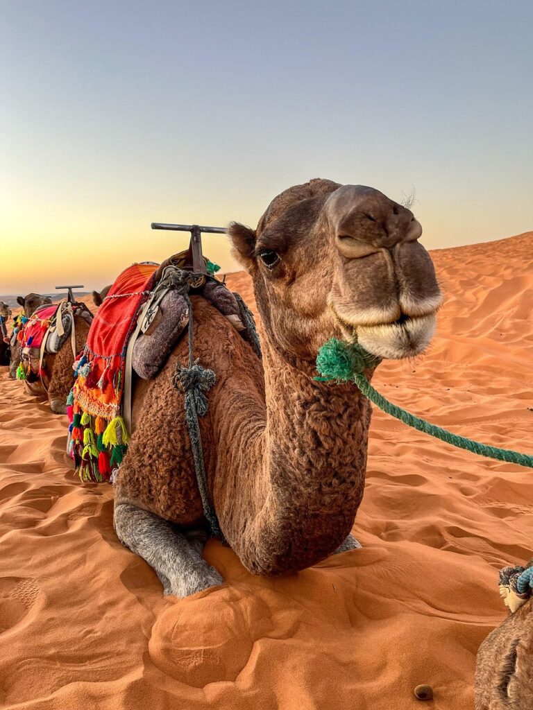 Tour 3 dias Marrakech Merzouga